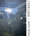 To the direction of light shining 99074667