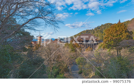 京都清水寺風景 99075376