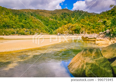 Idyllic beach in abel tasman national park, New Zealand South Island Idyllic beach in abel tasman national park, New Zealand South Island 99075945