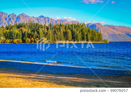 Lake Wakatipu coastline in south New Zealand, near Queenstown Lake Wakatipu coastline in south New Zealand, near Queenstown 99076057