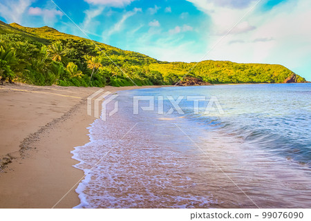 Tropical sandy beach at summer day in Fiji Islands, Pacific ocean 99076090