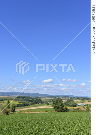 Bieicho Sanai Hill 99076638