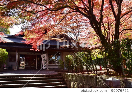 栃木縣宇都宮城跡公園的青明館和秋葉 99076731