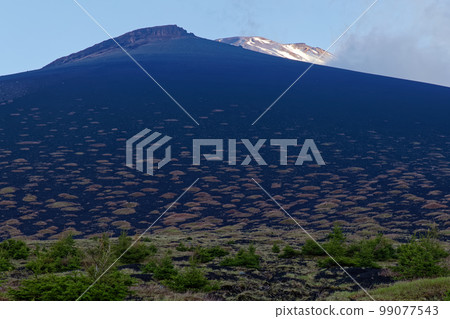 早上從上發果山看到的富士山 99077543