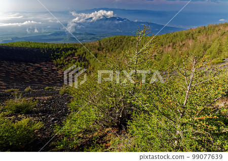 View of Mt. Fuji, the fresh green of Japanese larch in Gotenniwa and Mt. Ashitaka where clouds spring up View of Mt. Fuji, the fresh green of Japanese larch in Gotenniwa and Mt. Ashitaka where clouds spring up 99077639