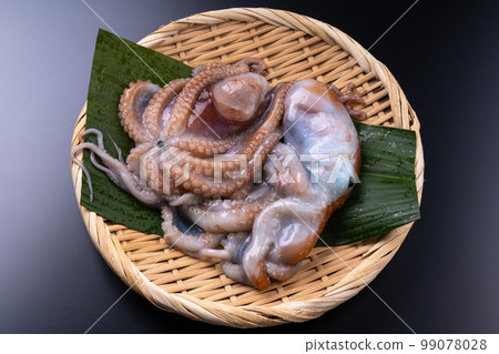 北太平洋巨型章魚 北太平洋巨型章魚 99078028