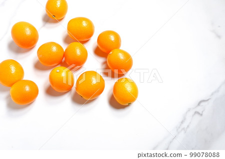 Kumquat Kumquat 99078088