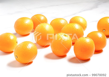 Kumquat 99078092
