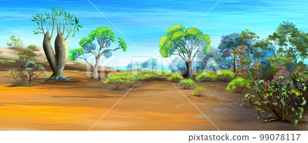 Australian bottle tree illustration Australian bottle tree illustration 99078117
