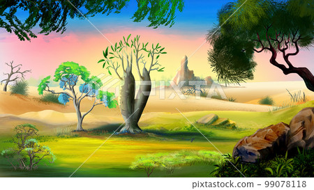 Australian bottle tree illustration Australian bottle tree illustration 99078118