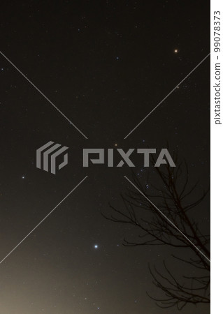 北斗市白州町 99078373