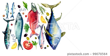 Board of fresh fish and spices watercolor illustration isolated on white. Board of fresh fish and spices watercolor illustration isolated on white. 99078564
