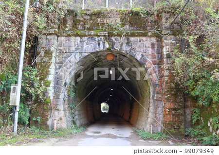 鐵道遺產第一觀音寺隧道和舊北陸本線隧道地區的蜂巢 99079349