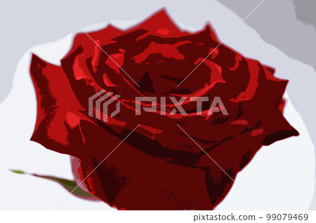 Close up of rose petalsa image. Illustration of a red rose on a white background with space for text Close up of rose petalsa image. Illustration of a red rose on a white background with space for text 99079469