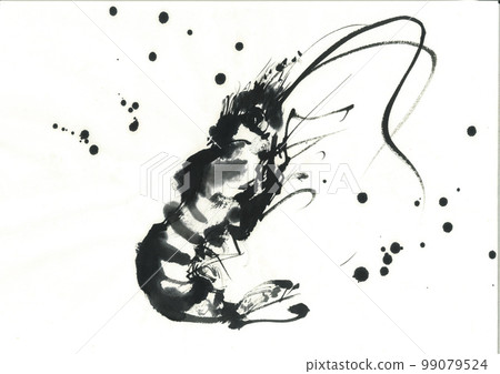 Illustration shrimp shrimp Illustration shrimp shrimp 99079524