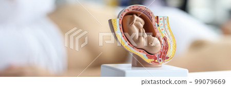 Ultrasound test and ultrasound of baby fetus during pregnancy 99079669