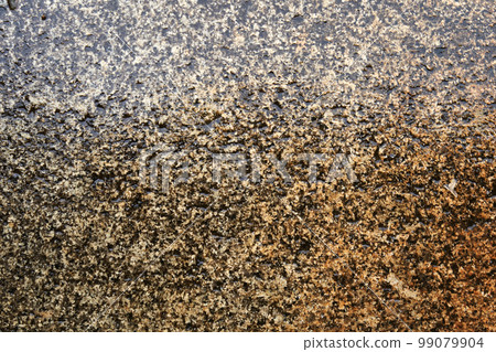 paving stone granite wet with rain 99079904