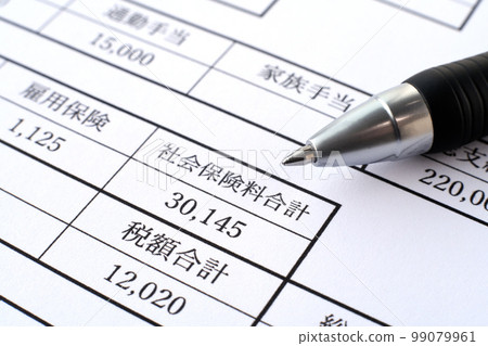 Payslip - Close-up of total social security contributions 99079961