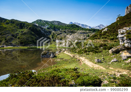 Lake Ercina in Picos de Europa, Asturias, Spain Lake Ercina in Picos de Europa, Asturias, Spain 99080299