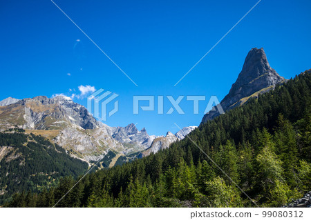 Mountains and forest landscape in French alps 99080312