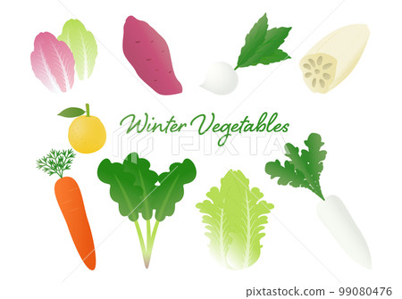 Illustration set of winter vegetables with beautiful gradation colors 99080476