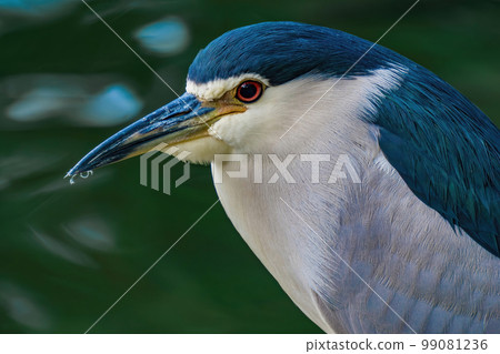 水邊採空區 99081236