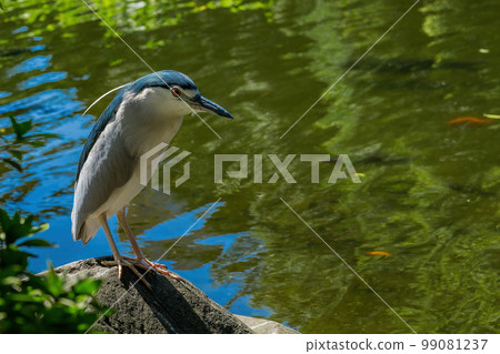 水邊採空區 99081237