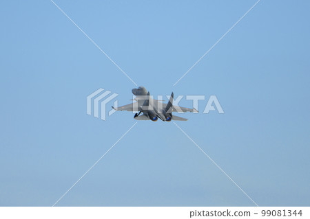 印度空軍蘇霍伊 Su-30MKI 起飛 印度空軍蘇霍伊 Su-30MKI 起飛 99081344