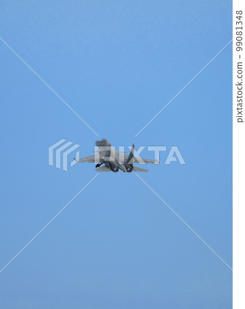 印度空軍蘇霍伊 Su-30MKI 起飛 99081348