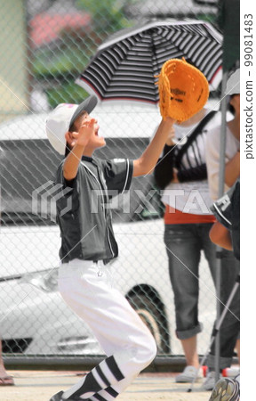 Juvenile baseball 99081483