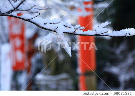 雪和神簽 雪和神簽 99081585
