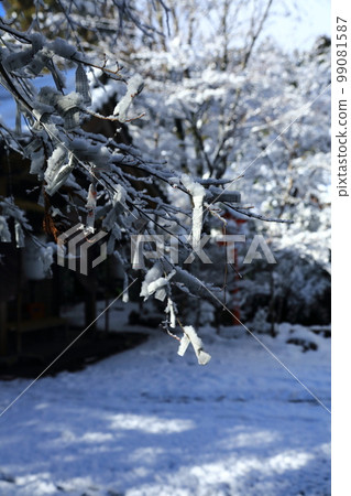 雪和神簽 雪和神簽 99081587