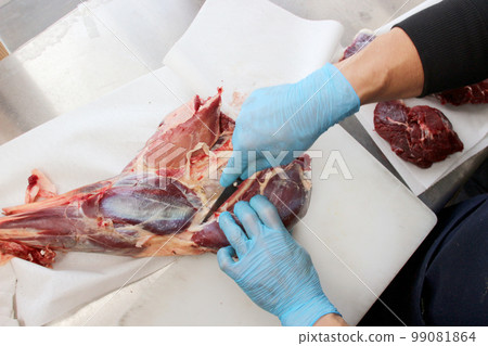 人手拆解鹿肉 Gibier Hunting Professional Judgment Meat 99081864
