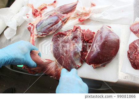 人手拆解鹿肉 Gibier Hunting Professional Judgment Meat 99081866
