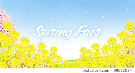 Field of rape blossoms and rows of cherry blossom trees Spring fair background material 99082084