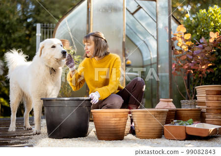 Woman planting flowers in jugs at garden Woman planting flowers in jugs at garden 99082843