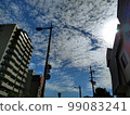 Sky and clouds on an autumn day (Osaka city) 99083241