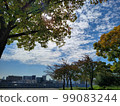 One day autumn sky and clouds (Osaka city) 99083244