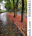 Autumn promenade after the rain (Onogawa green shadow road) 99084863