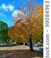 Autumn leaves and autumn sky 99084963