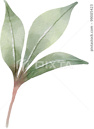 watercolor leaves watercolor leaves 99085423