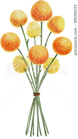 watercolor wildflowers 99086033