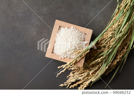 Image of rice 99086252