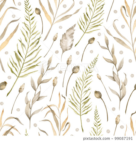 Watercolor Seamless Pattern with dry plants and branches on isolated background. Hand drawn botanical backdrop with wild meadow grass. Floral texture for textile design or vintage wrapping paper. Watercolor Seamless Pattern with dry plants and branches on isolated background. Hand drawn botanical backdrop with wild meadow grass. Floral texture for textile design or vintage wrapping paper. 99087191