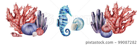Watercolor compositions with corals, sea urchin, horse and shells. Hand painting clipart underwater life objects on a white isolated background. For designers, decoration, postcards, wrapping paper Watercolor compositions with corals, sea urchin, horse and shells. Hand painting clipart underwater life objects on a white isolated background. For designers, decoration, postcards, wrapping paper 99087282