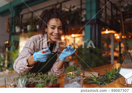 Woman florist making succulent plant composition at floral design studio and looking at camera Woman florist making succulent plant composition at floral design studio and looking at camera 99087307