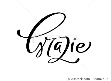 Grazie handwritten lettering text. Thank you in Italian language. Ink illustration. Modern brush calligraphy. Isolated on white background. Gratitude words for postcards 99087406