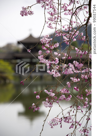 Seiho Pond in a cloudy sky Seiho Pond in a cloudy sky 99087544