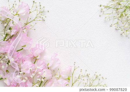 Sweet pea and gypsophila frame Sweet pea and gypsophila frame 99087820