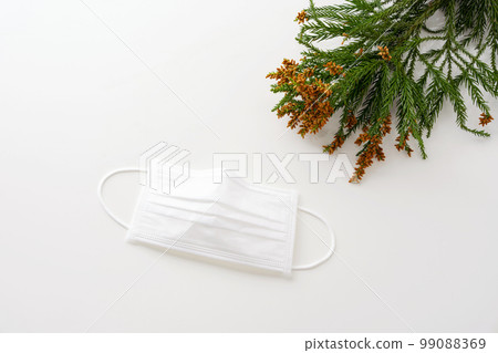 雪松花粉花粉症面膜 99088369